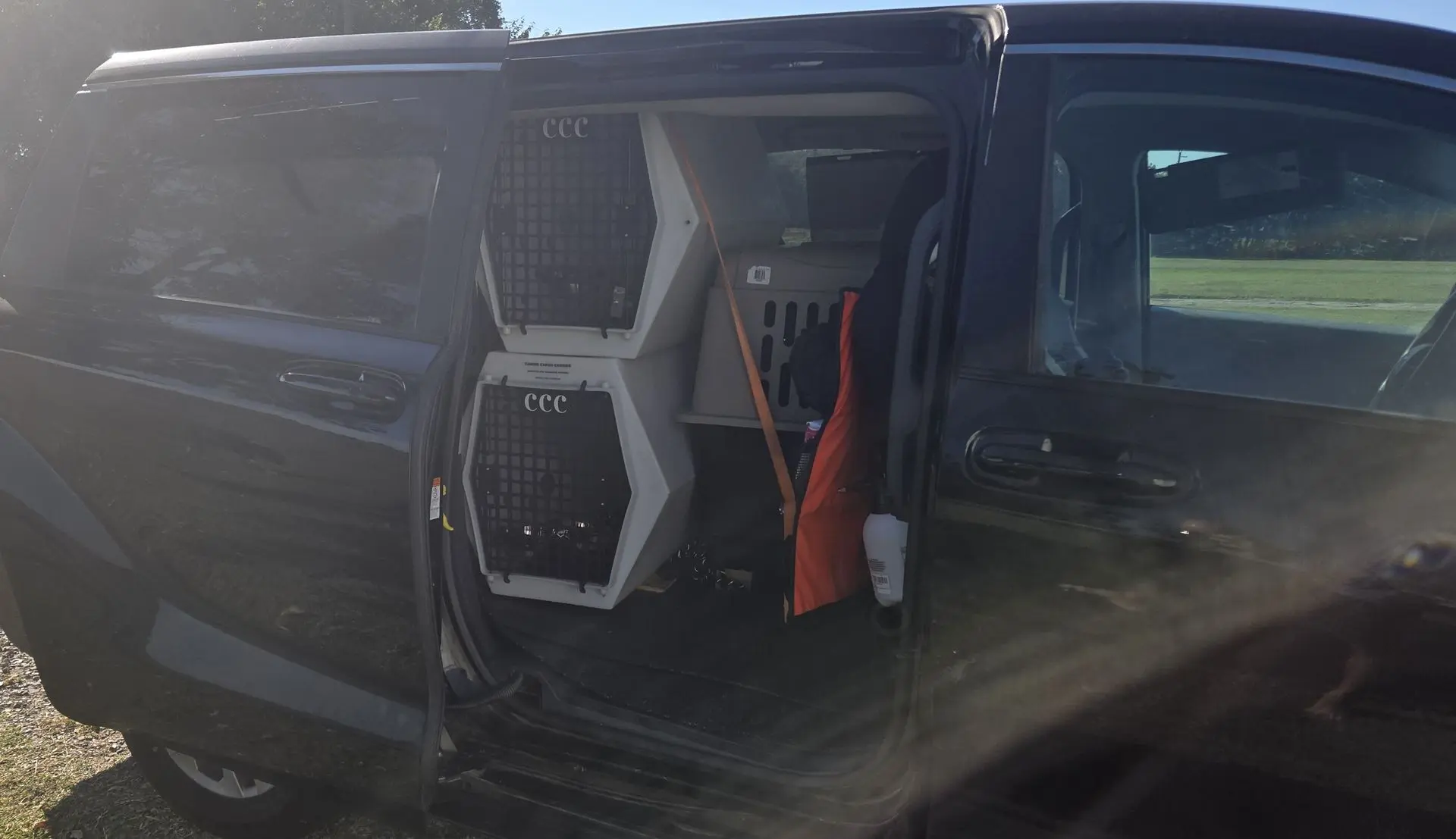 Professional pet transport van with secured travel crates and safety equipment inside