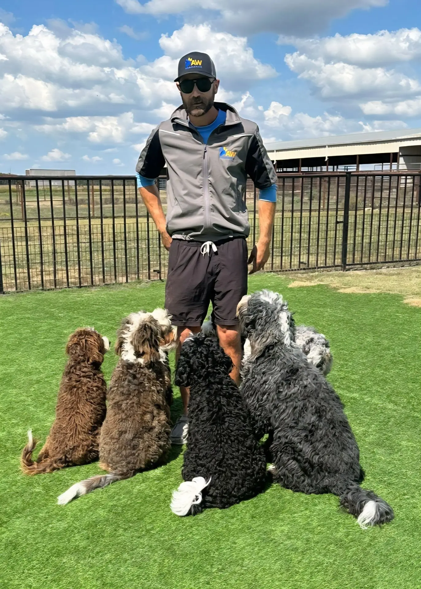 Handler and dog practicing obedience skills for Canine Good Citizen test
